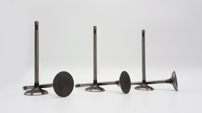 Клапан ВПУСКНОЙ 2,7л. EER