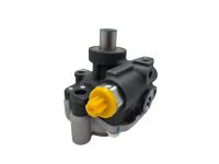 Насос гидроусилителя руля  3,3 / 3,8 литра EGH